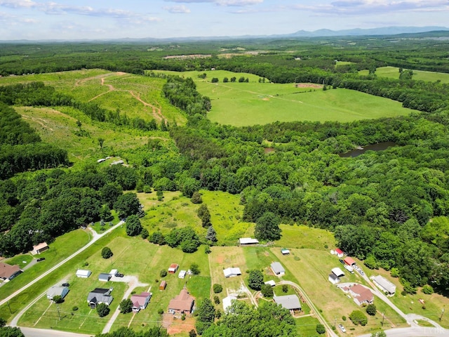 200 Jasper Wood Rd, Hurt, VA 24563 - bird's eye view of a forest