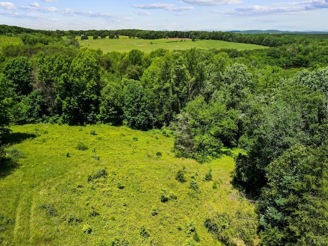 200 Jasper Wood Rd, Hurt, VA 24563 - aerial view of a forest