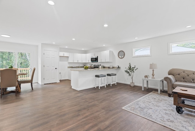 1040 Coronado Ln, Lynchburg, VA 24502 - living room featuring plenty of natural light, recessed lighting, dark wood-style floors, and baseboards