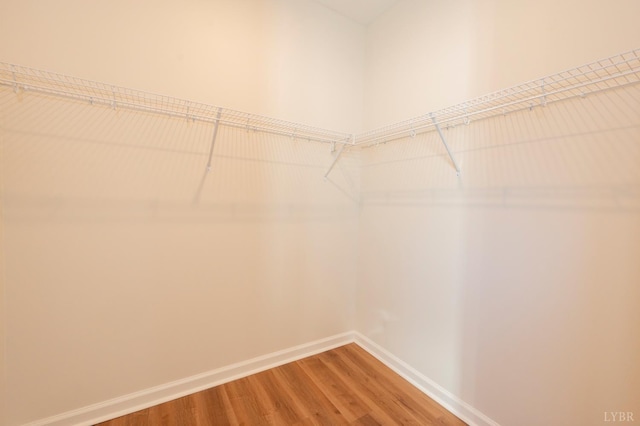 128 Brenleigh Ct Unit 105, Lynchburg, VA 24501 - spacious closet with wood finished floors