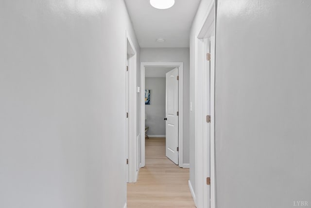 1801 Waterlick Rd, Lynchburg, VA 24501 - corridor with light wood-style floors and baseboards
