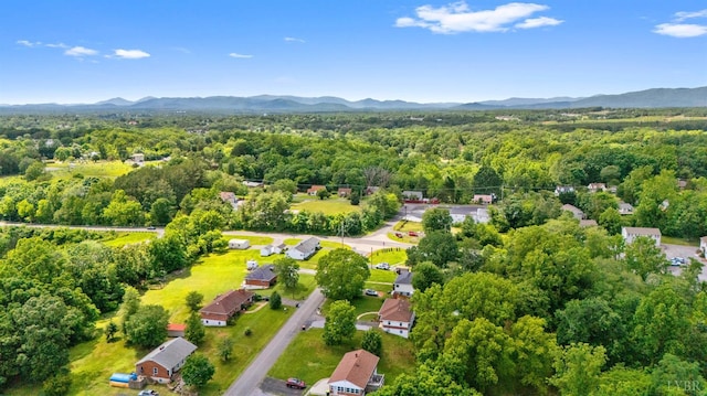 147 Maple Dr, Madison Heights, VA 24572 - bird's eye view of a mountainous background and a forest