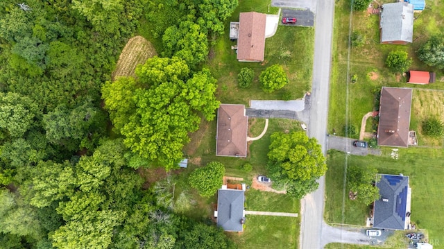 147 Maple Dr, Madison Heights, VA 24572 - aerial overview of property's location