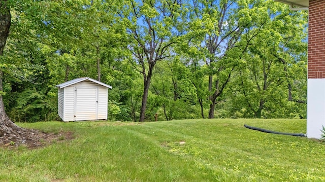 147 Maple Dr, Madison Heights, VA 24572 - view of green lawn