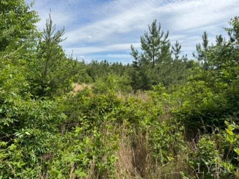 2085 Felix Rd, Nathalie, VA 24577