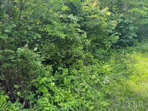 2085 Felix Rd, Nathalie, VA 24577