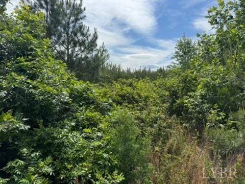 2085 Felix Rd, Nathalie, VA 24577