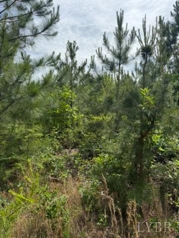 2085 Felix Rd, Nathalie, VA 24577