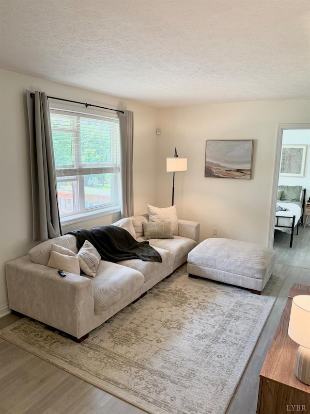 136 Jubilee Dr, Lynchburg, VA 24501 - living room featuring a textured ceiling and wood finished floors