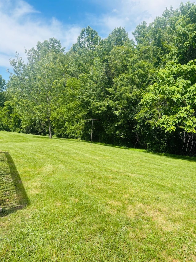 136 Jubilee Dr, Lynchburg, VA 24501 - view of grassy yard
