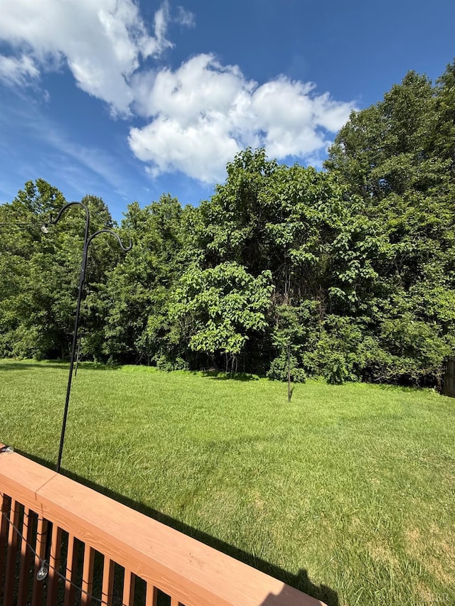 136 Jubilee Dr, Lynchburg, VA 24501 - view of green lawn