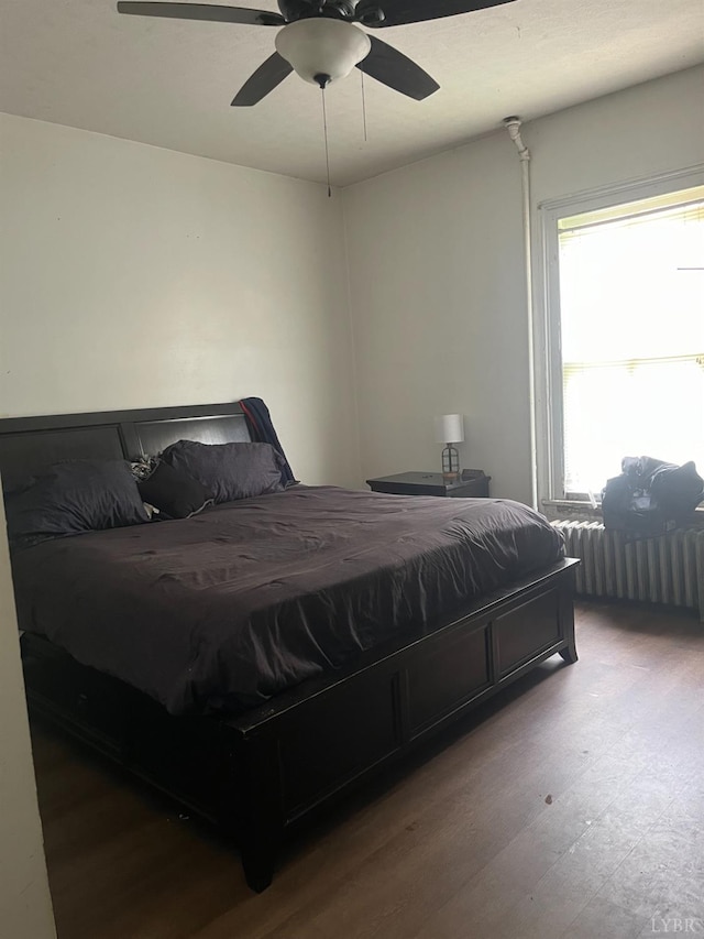 1115 Jackson St, Lynchburg, VA 24504 - bedroom featuring radiator heating unit, multiple windows, and wood finished floors