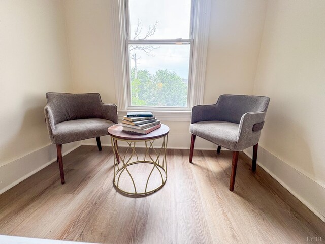 821 Greenwood St, Bedford, VA 24523 - photo 22