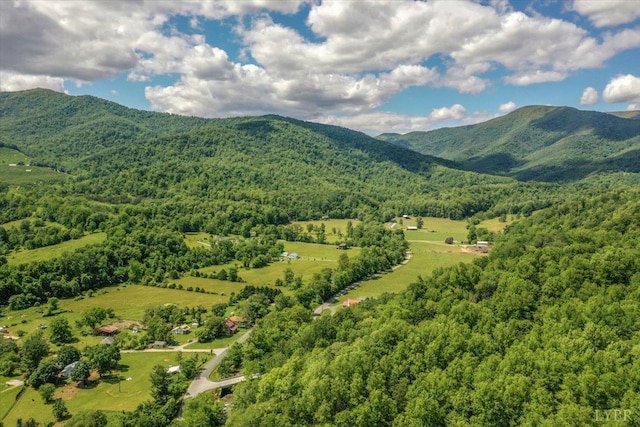261 Carrington Ln, Roseland, VA 22967 - view of mountain backdrop with a forest