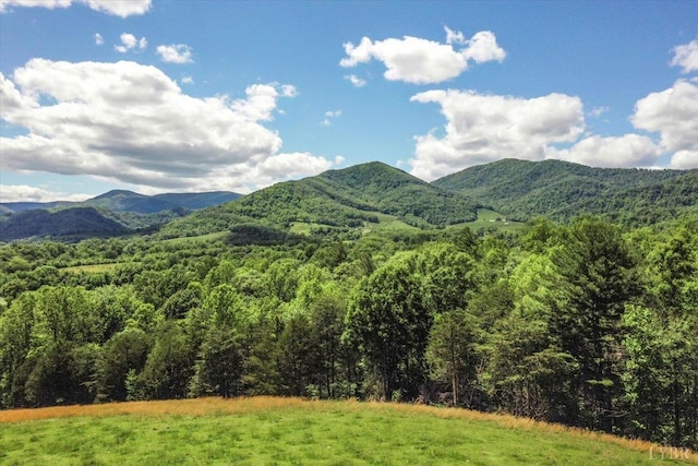 261 Carrington Ln, Roseland, VA 22967 - mountain view with a heavily wooded area