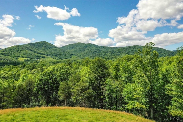 261 Carrington Ln, Roseland, VA 22967 - view of mountain background with a heavily wooded area