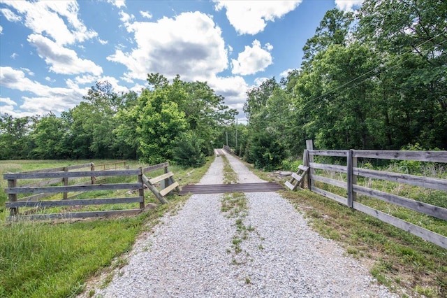 261 Carrington Ln, Roseland, VA 22967 - view of dirt / gravel road