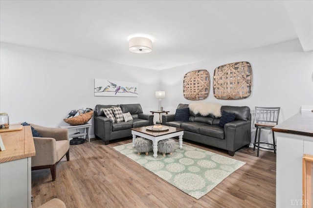 261 Carrington Ln, Roseland, VA 22967 - living area featuring wood finished floors