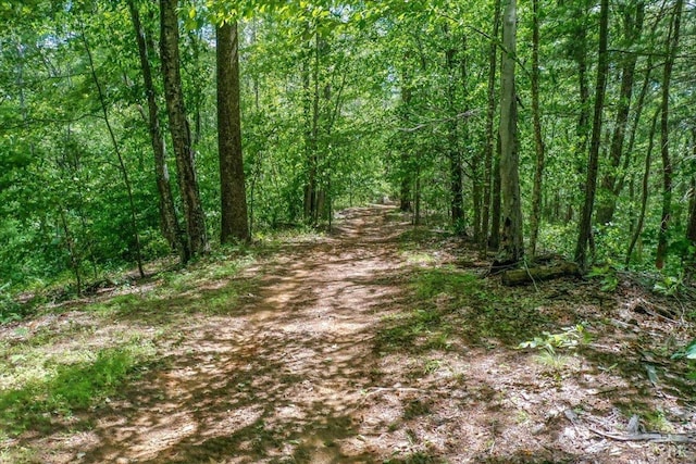 261 Carrington Ln, Roseland, VA 22967 - view of woods