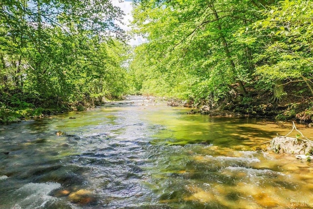 261 Carrington Ln, Roseland, VA 22967 - water view with a heavily wooded area
