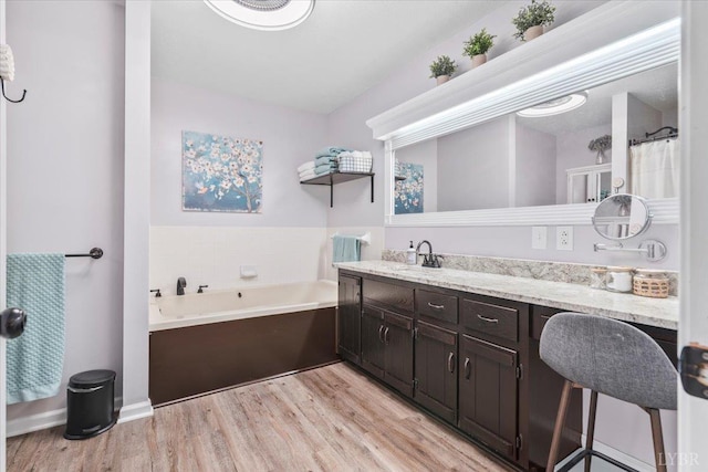 261 Carrington Ln, Roseland, VA 22967 - bathroom featuring wood finished floors, a garden tub, and double vanity