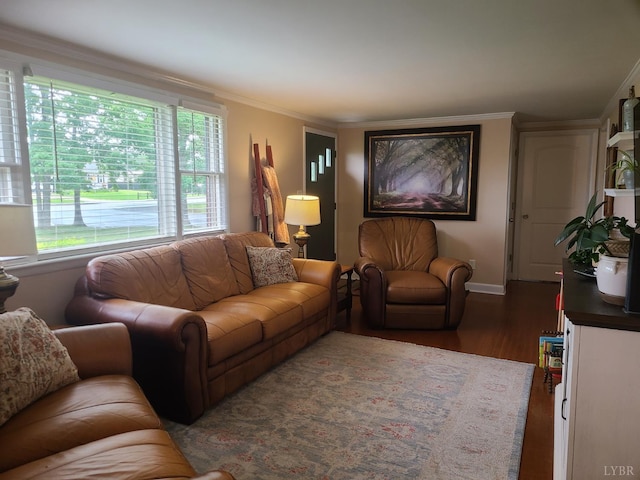 356 Ferguson St, Appomattox, VA 24522 - living room with healthy amount of natural light, wood finished floors, crown molding, and baseboards