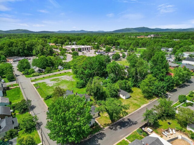 400 Blue Ridge St, Lynchburg, VA 24501 - photo 16