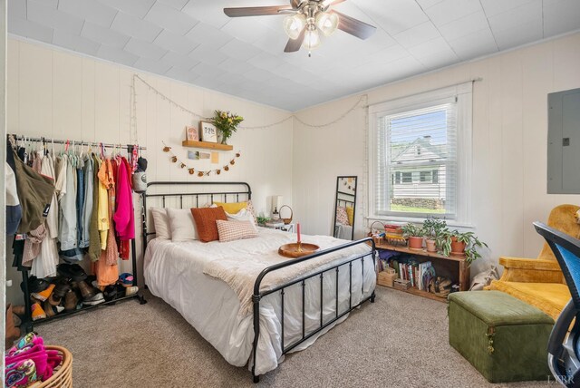 400 Blue Ridge St, Lynchburg, VA 24501 - bedroom with electric panel, carpet flooring, and ceiling fan
