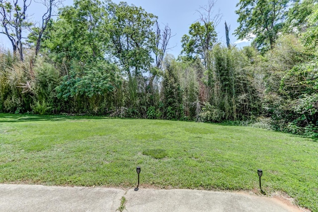 5036 Fort Ave Unit 1 & 2, Lynchburg, VA 24502 - photo 53