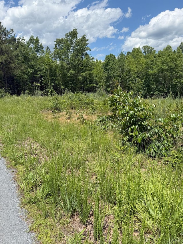 0 Cutbanks Rd, Appomattox, VA 24522