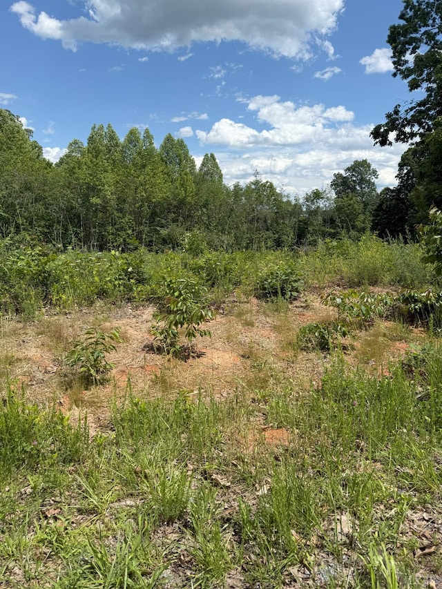 0 Cutbanks Rd, Appomattox, VA 24522