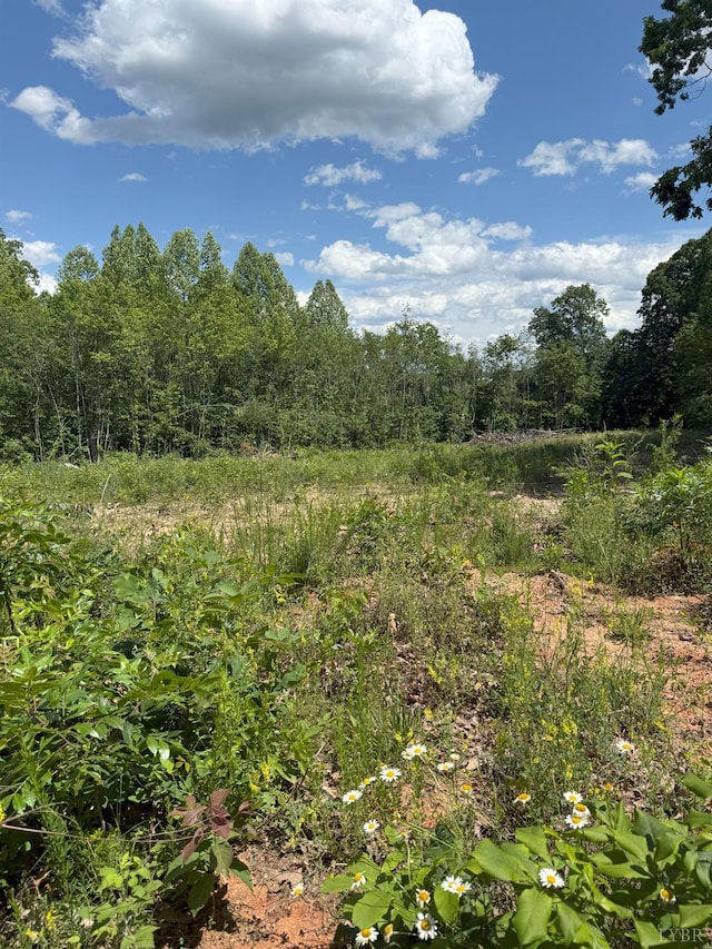 0 Cutbanks Rd, Appomattox, VA 24522