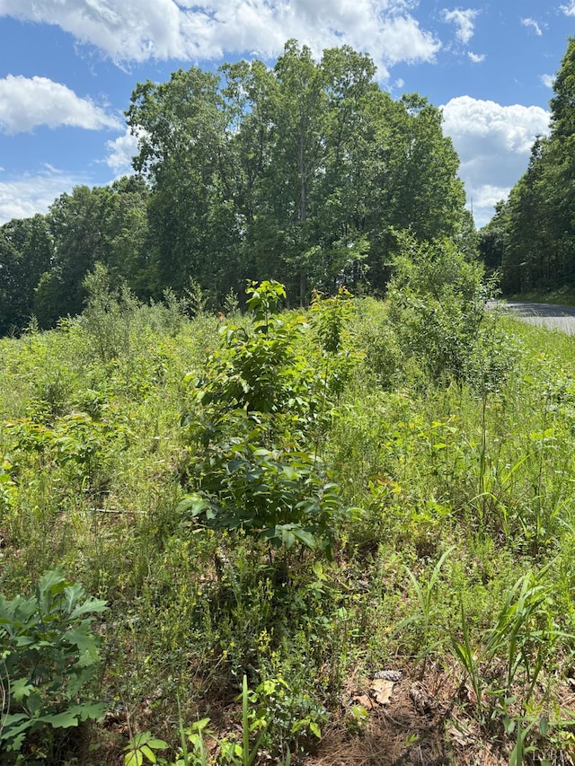 0 Cutbanks Rd, Appomattox, VA 24522