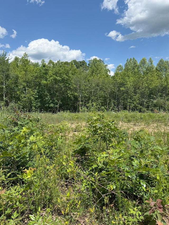 0 Cutbanks Rd, Appomattox, VA 24522