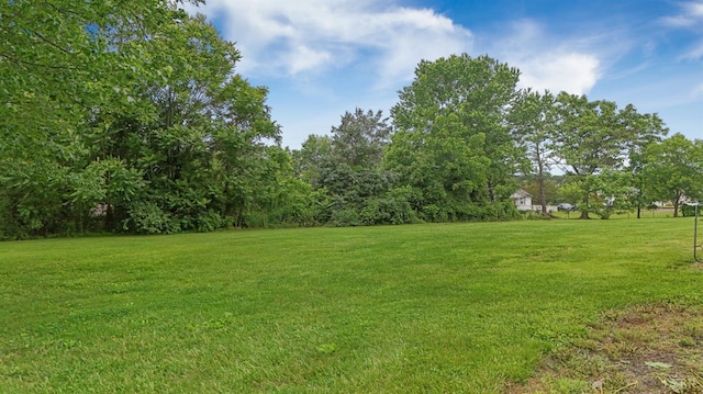 221 Castle Craig Dr, Evington, VA 24550 - view of green lawn