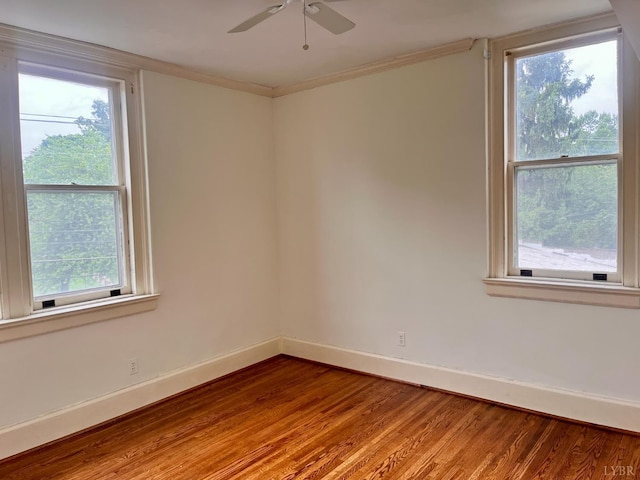 2910 Rivermont Ave Unit 301, Lynchburg, VA 24503 - empty room with wood finished floors, baseboards, plenty of natural light, and ornamental molding