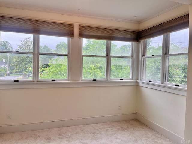 2910 Rivermont Ave Unit 301, Lynchburg, VA 24503 - unfurnished sunroom featuring plenty of natural light