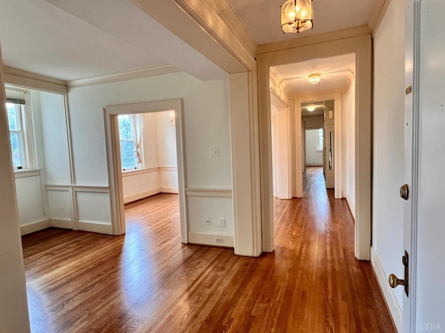2910 Rivermont Ave Unit 301, Lynchburg, VA 24503 - corridor with wood finished floors, ornamental molding, and baseboards