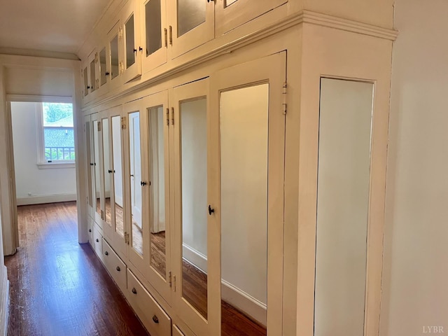 2910 Rivermont Ave Unit 301, Lynchburg, VA 24503 - hall with dark wood-style flooring and baseboards