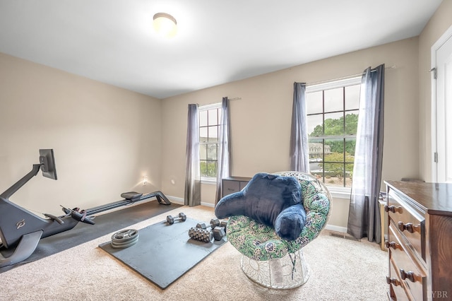 62 Squire Cir, Lynchburg, VA 24501 - exercise area featuring baseboards and carpet