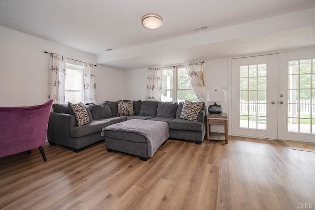 220 Swan Ln, Forest, VA 24551 - living area with light wood-style flooring, plenty of natural light, and french doors