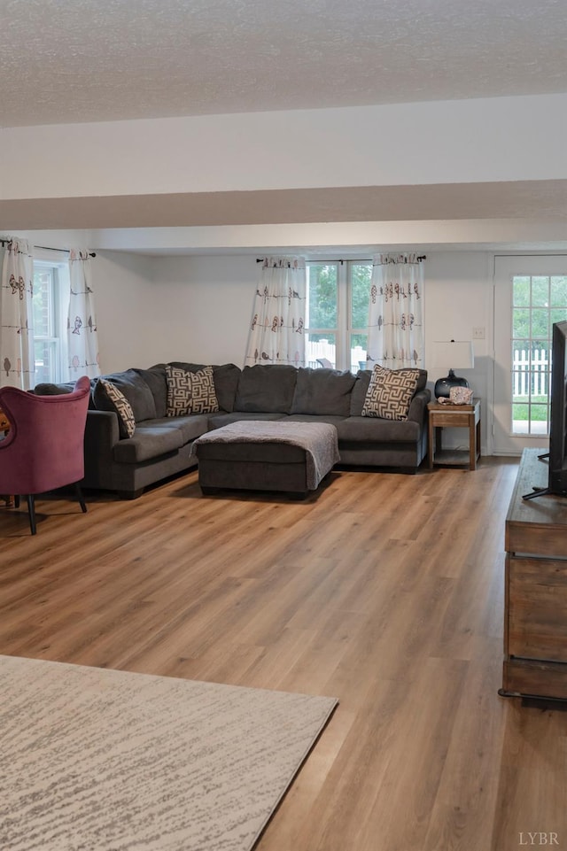 220 Swan Ln, Forest, VA 24551 - living room featuring wood finished floors and a textured ceiling