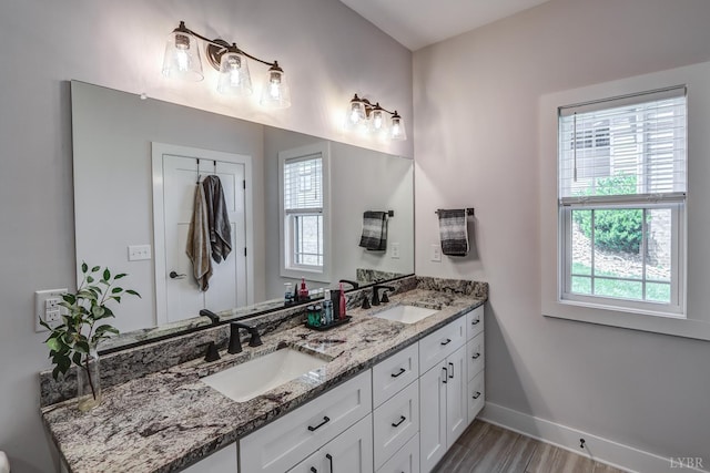 1151 Jefferson Meadows Dr, Forest, VA 24551 - bathroom with plenty of natural light, double vanity, baseboards, and wood finished floors