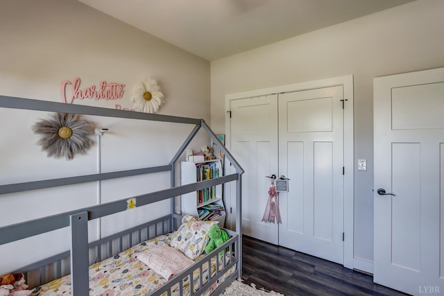 1151 Jefferson Meadows Dr, Forest, VA 24551 - bedroom featuring dark wood-style floors and a closet