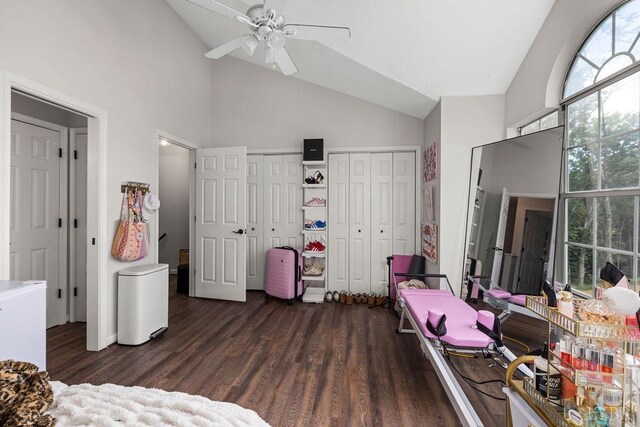 14 Jefferson Village Dr, Forest, VA 24551 - bedroom with high vaulted ceiling, two closets, wood finished floors, and a ceiling fan
