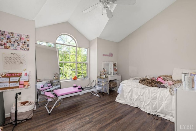 14 Jefferson Village Dr, Forest, VA 24551 - bedroom featuring multiple windows, wood finished floors, a ceiling fan, and high vaulted ceiling