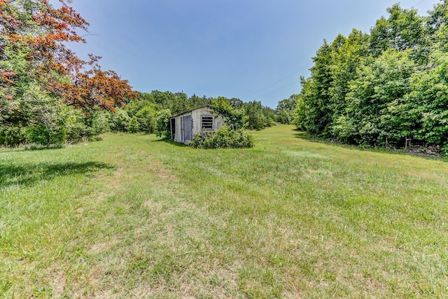 view of grassy yard featuring a storage shed and a view of trees
