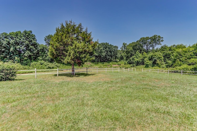 view of yard featuring a view of rural / pastoral area and a forest view