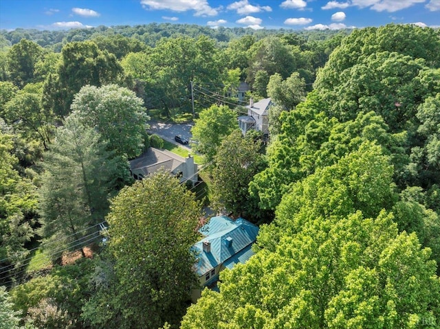 400 E Randolph Pl, Lynchburg, VA 24503 - drone / aerial view of a forest