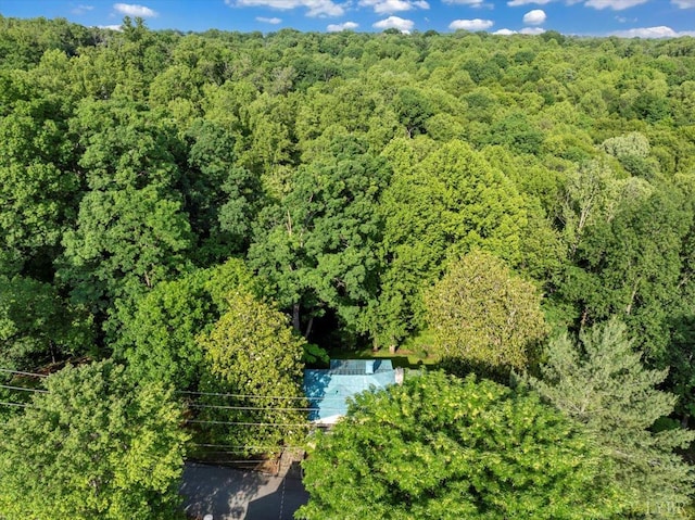 400 E Randolph Pl, Lynchburg, VA 24503 - aerial view of a heavily wooded area